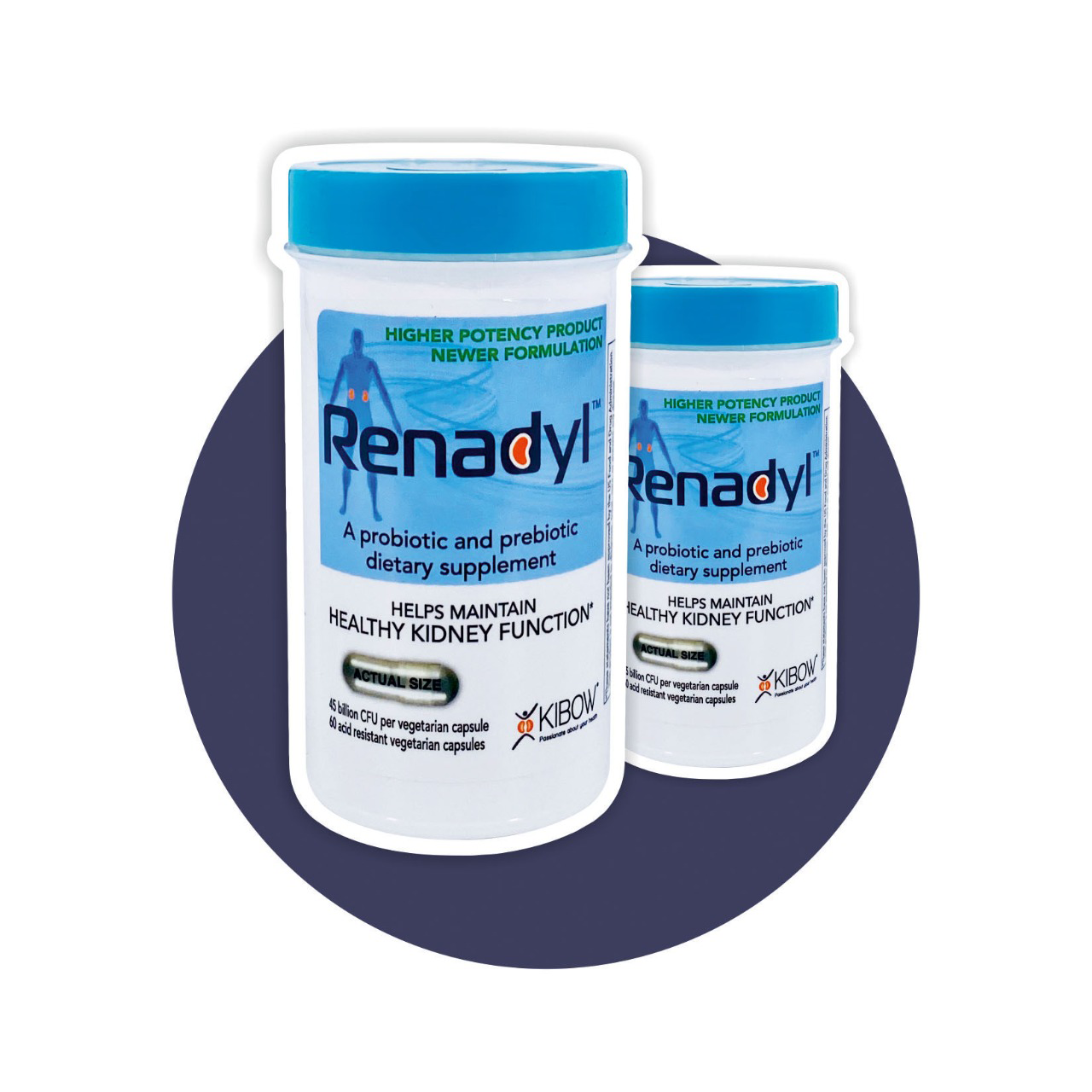 Renadyl - Natutal Kidney Supplement