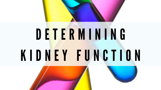 Determining Kidney Function