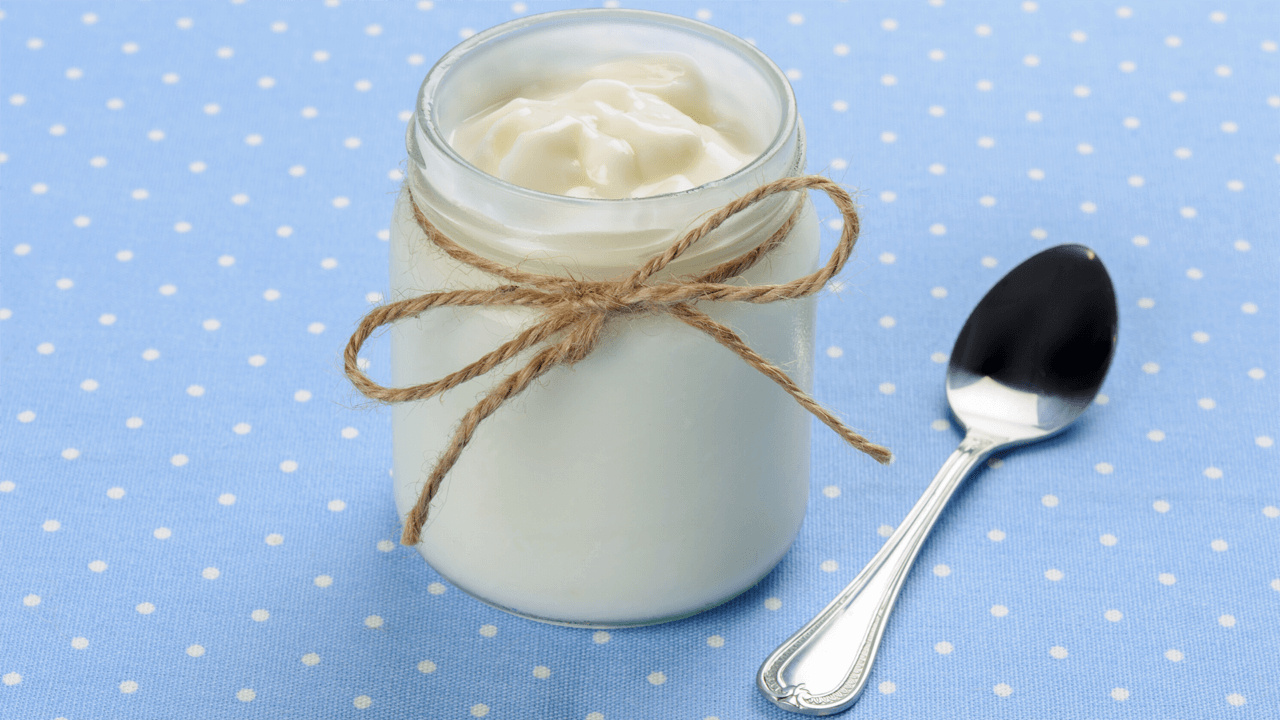 Banner Image of Yoghurt Jar - A Kidney health booster